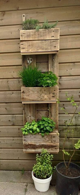 Herb Garden Shelf