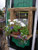  Garden Mirror with Plant Holder