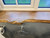 Waney edge Oak window Boards