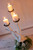 Whitewashed Rustic Driftwood Wedding table candelabra