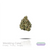 1OZ Indoor Flower by Puffy :) (8 Strains)