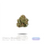 1OZ Indoor Flower by Puffy :) (8 Strains)