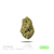 1OZ PREMIUM Indoor by Puffy :) (2 Strains)