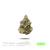 1OZ PREMIUM Indoor by Puffy :) (2 Strains)