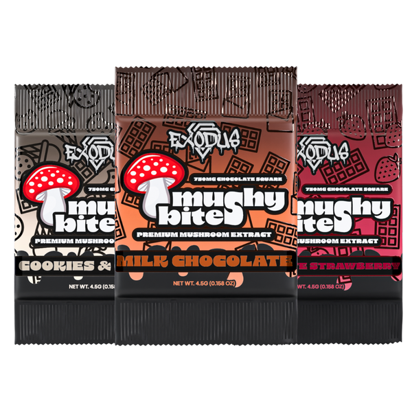 Mushy Bites Mushroom Chocolate Squares – 3 Flavors