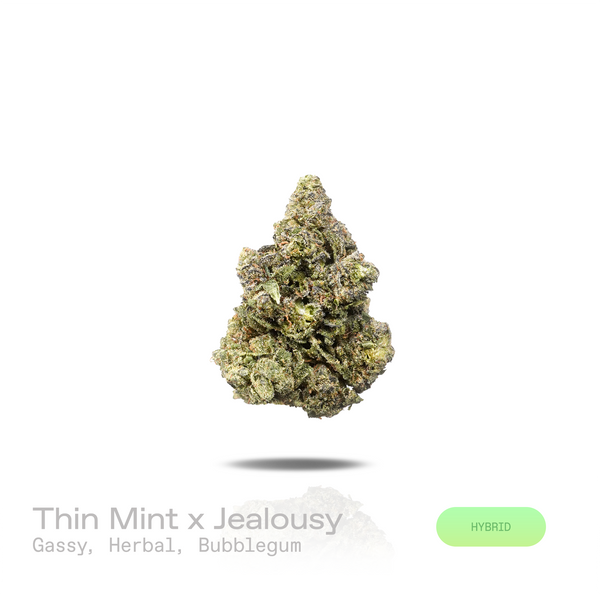 1OZ PREMIUM Indoor by Puffy :) (2 Strains)