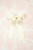 Grace & Grandeur Florence Matte Satin Bow - Ivory