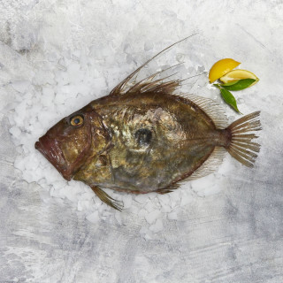 Buy Whole John Dory fish from Sanford and Sons with lemon. John Dory is best cooked pan fried for a crispy skin.