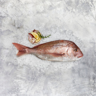 Buy Whole Snapper online from Sanford and Sons. Baking whole snapper requires little to no effort for a delicious meal