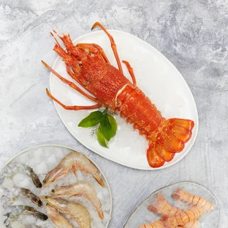 Buy whole frozen cooked New Zealand Crayfish from Sanford and Sons. Serve with other seafood like prawns.
