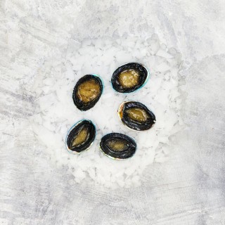 Buy Blue Abalone / Paua from Sanford and Sons. Delicious on its own or in paua fritters.