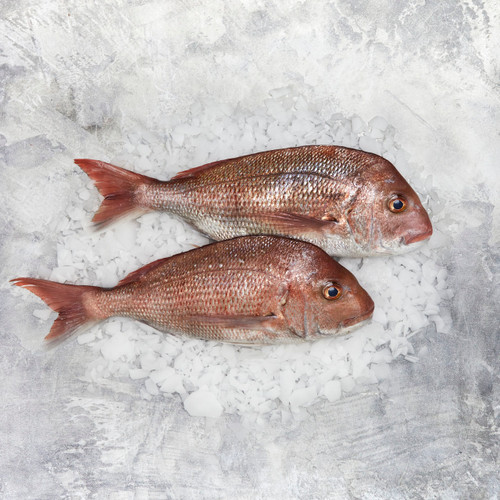 Whole Snapper
