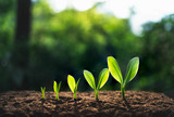 Consumer Market Trends: Why Wellness and Everyday Goods Are Driving Growth