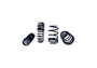 Ford Racing M-5300-KA Ford Racing M-5300-KA Spring Kit 1.5in Drop