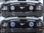 Raxiom 49134 Raxiom 49134 05-12 Ford Mustang GT LED Halo Fog Lights (Smoked)