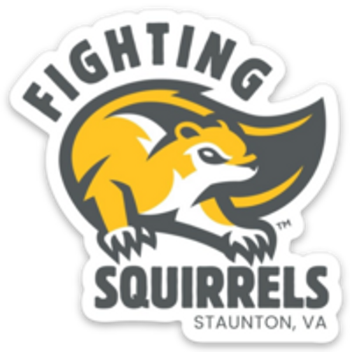Sticker Fighting Squirrels