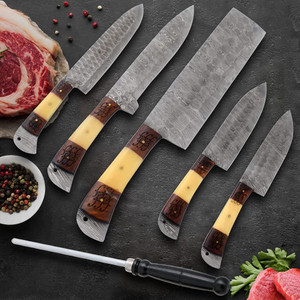 Professional Kitchen Knives Custom Made Damascus Steel 5 Pcs Set
