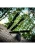 Perfect Point - Throwing Knives