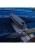 Master USA - Fixed Blade Knife