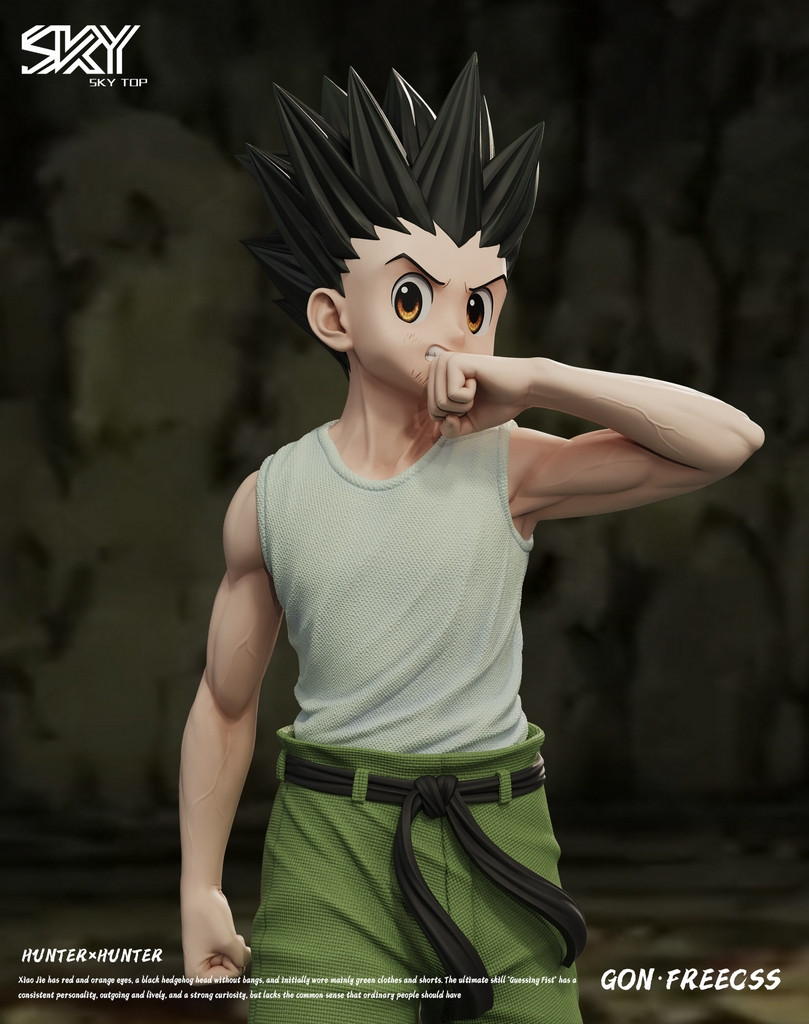 Pre-order * Skytop Studio HUNTERxHUNTER GON FREECSS Resin Statue