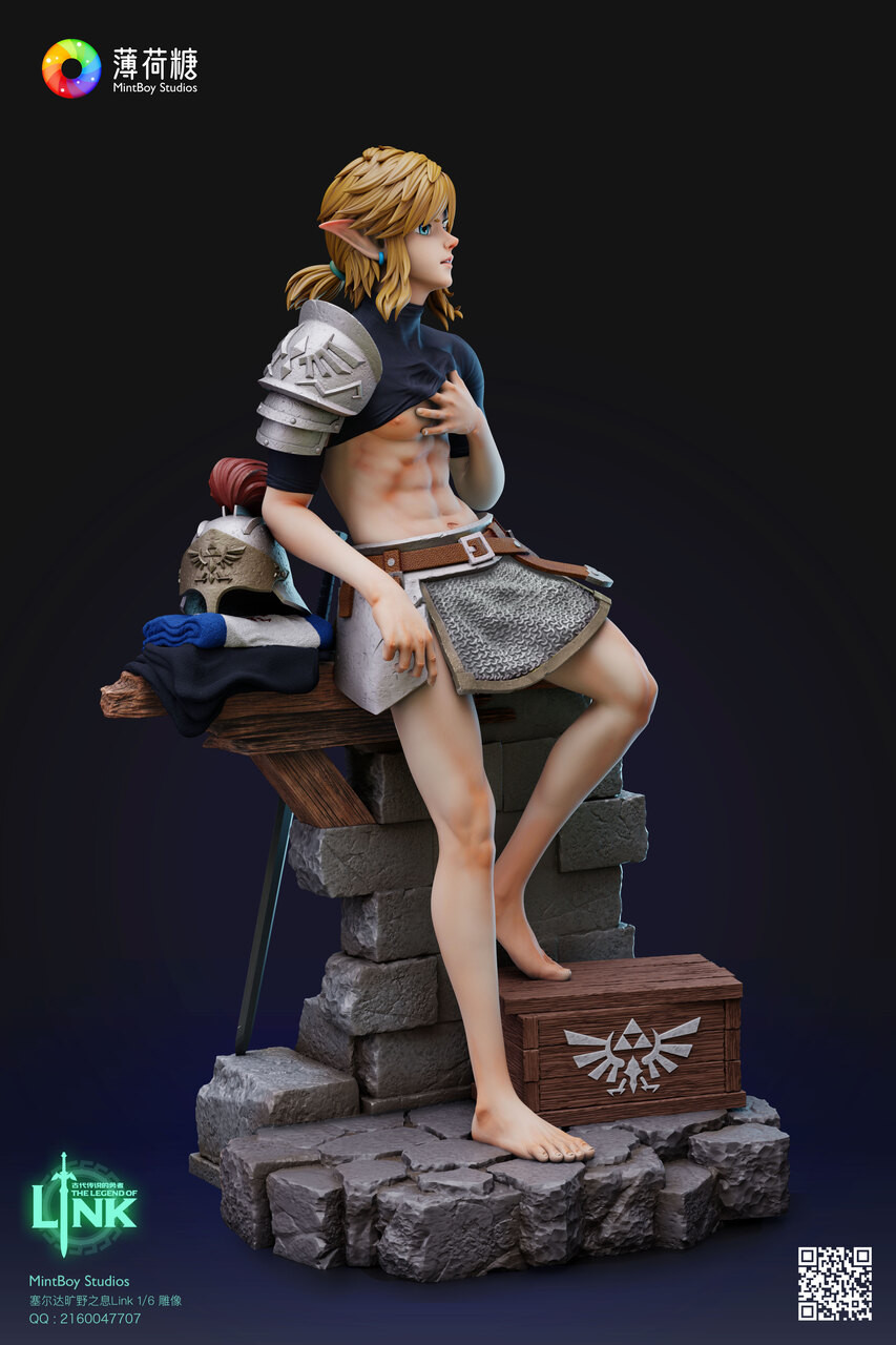 Pre-order * Mintboy Studio The Legend of Zelda Training soldier