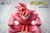 * Pre-order * Real Studio Dragon Ball kaiouken Goku Resin Statue #3