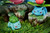 * Pre-order * Wu Xian Studio Pokémon Bulbasaur evolutionary group Resin Statue #5