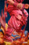 * Pre-order * Cdkey Studio Dragon Ball Kaio-ken Goku Resin Statue #8