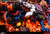 *Pre-order * Luckydog Studio One Piece Kaido Resin Statue #3