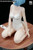 *Pre-order *Adults only Nia Studio EVA Ayanami Rei Resin Statue #5