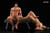 Licensed*Pre-order * Snow Studio Original Leo&Evan  Resin Statue #9