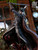 Bard Studio Bloodborne Lady Maria vs Hunter Resin Statue