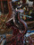 Bard Studio Bloodborne Lady Maria vs Hunter Resin Statue