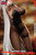 *Pre-order * Modomodo Studio Azur Lane bunny girl KMS Ägir Resin Statue #5