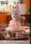 *Pre-order * Lemon Studio Honkai: Star Rail Silver Wolf Resin Statue #1