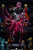 *Pre-order * Mountain Rain Cloud Studio Honkai: Star Rail Kafka Resin Statue #12