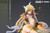 *Pre-order * SWS Studio Arknights Shu Resin Statue #4