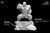 * Pre-order * Clouds Studio Dragon Kame Sennin 1/6 1/4 Resin Statue