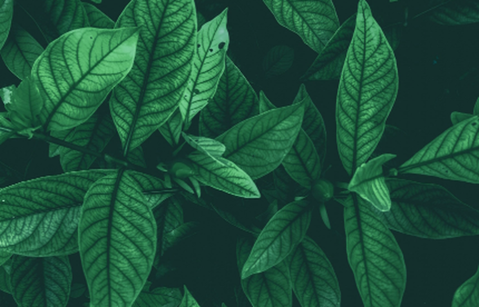 How to Achieve Great Style at Any Age Flip Flops and Fortunes