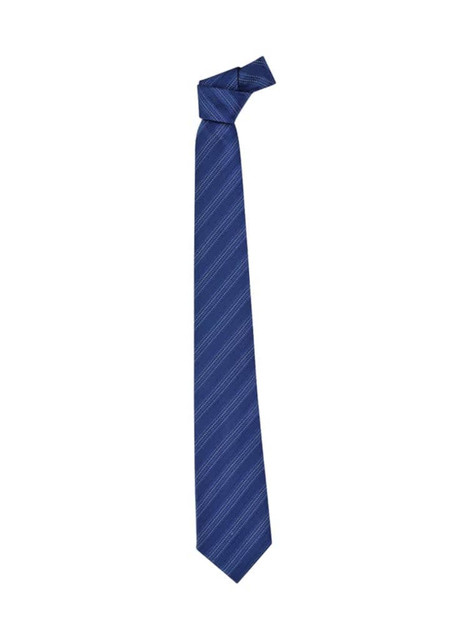 Mens Self Stripe Tie