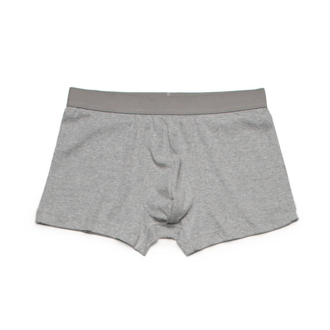 Grey boxer briefs with a plain waistband, featuring a smooth fabric and a standard fit.