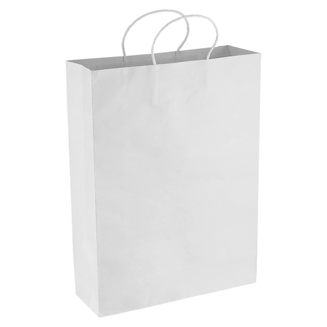 A white paper shopping bag with rope handles, featuring a minimalistic design and no visible branding.