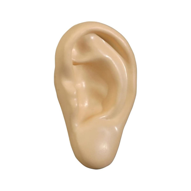 A stress shape in the form of a human ear, featuring a smooth, light beige surface and a glossy finish.