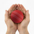 A red cricket ball held gently in two hands, featuring distinctive seam markings. The image has a logo.