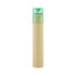 A cylindrical tube containing a set of long coloured pencils with a transparent green cap.