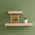 A medium, brown kraft paper storage bag with a black logo, alongside a small potted plant on wooden shelves.