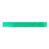 A 30cm transparent green plastic ruler featuring measurement markings and a logo.
