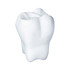 A white stress toy shaped like a tooth, featuring smooth surfaces and rounded edges. It has a logo on it.