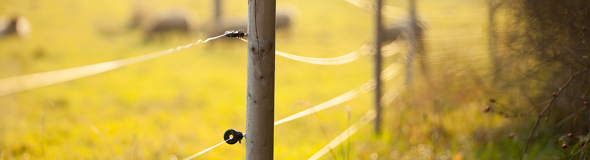 A Guide to Electric Fencing