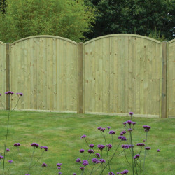 6ft Tongue & Groove Arched Top Fence Panel (1800 x 1800mm) - Pressure Treated Green Timber 